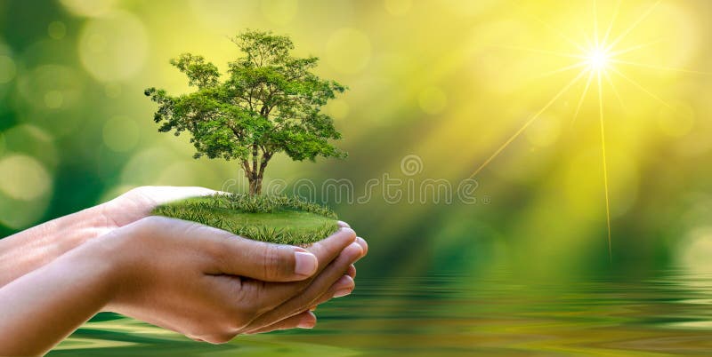 Environment protection project Terms and conditions (नियम एवं शर्ते)